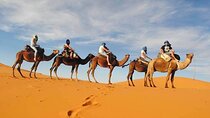 Fes desert tour 3 days 
