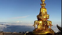 Panda, Leshan, and Emei Mountain 2-day tour
