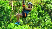 Canopy S Luis
