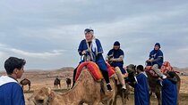 Atlas Mountains 3Valley &Sahara Camel ride Waterfalls Day Trip 