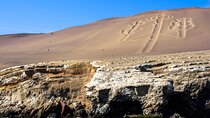 Ballestas Islands, Vineyards and Buggies in Huacachina from Ica