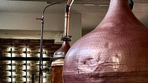 Farm-to-Glass Adventure: Olive Farm, Family Winery, Raki Tasting