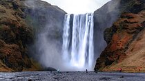 Full Day Private South Coast Adventure for Cruise Ship Passengers