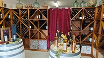 Wine tasting/wine tasting wines from Mallorca