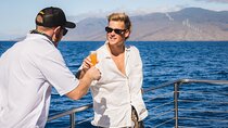 Afternoon Catamaran Sail with Local Culture, Cocktails and Snacks