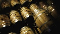 Guided tour of the winery and vineyards 