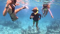 Reef Snorkel + Sandbar & Sunset Sail-Small Groups with Honest Eco