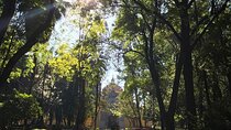 EXCLUSIVE TOUR of the Old Quarter of Coyoacan - small groups