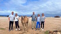 Vip Full Day Private Tangier Tour From Malaga All Inclusive 