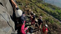Outdoor Rock Climbing Auckland