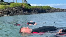 Flotation Therapy - Rental Float Suits, Goggles, Headphones 24 hr