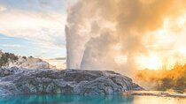  Auckland: Rotorua Te Puia with Haka & Polynesian Spa Small Group
