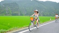 Full-Day Tour to explore Hoa Lu, Tam Coc & Mua Caves from Hanoi