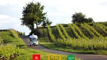 Geneva Panoramic & Tasting Vineyards Tour in an Tuk Tuk