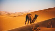 Private 3 days 2 nights Roundtrip Tour in Oman