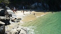 Whale watching with Snorkeling and beach Colomitos