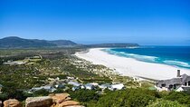  Private Cape Peninsula Table Mountain Penguin Colony Boulders 