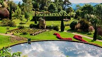 8 Hour Private Tour of Campos Do Jordão
