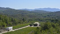 Cooking Class & Greek Wine Tasting