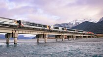 7-Day South Island Coastal Splendor Tour from Christchurch