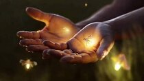 VIllage Firefly Night Tour - Ubud Bali
