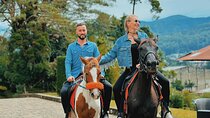 8 Days Private Guided Multi Day Tour in Sri Lanka