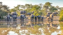 6 Days Masai Mara, Serengeti and Ngorongoro Crater Safari on 4WD