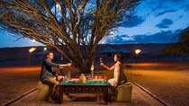 Luxury Dinner and Camel Ride in Agafay Desert