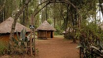 Cultural Day Tour to Bomas of Kenya Nairobi