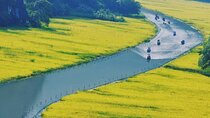 Ninh Binh Full Day Tour 
