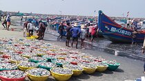 Kochi Fishing Village Excursion.