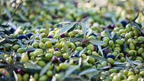 Private Wine and Olive Oil Tasting Tour with Lunch in Archanes