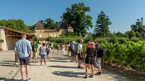 Half-Day Wine tour across Bordeaux’s Vineyards