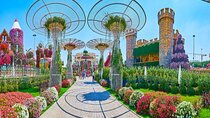 Full Day Miracle Garden and Global Village Private Tour