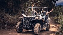 Tenerife Guided Buggy Discovery Tour Around Mount Teide