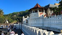 Day Tour in Kandy from Kalutara in a Luxury Car 