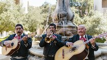 Cantina Tour Mexico City Savor Spirited Stories and Sips