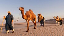 Camel Tour, Vitivinicola Winery with Buggies and Sandboarding
