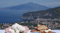 FARM LIFE -Food Immersion- an Authentic Italian Experience 