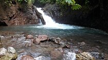 Rainmaker Hike and Hanging Bridges 