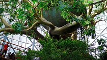 Ticket to The Green Planet in Dubai 