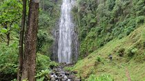 Private Materuni and Chemka Hotspring Tour
