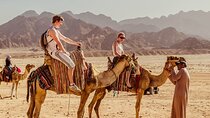 Safari Trip in Hurghada
