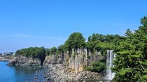 South Jeju Private Taxi Tour with Well-Experienced Driver