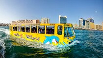 Wonder Bus with Live Tour Guide