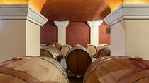 Wine Tasting in Nice Taste of Provence