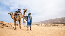 Sunset Camel Ride in Agadir with Dinner in Habitant House
