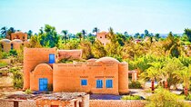 Private Fayoum Oasis Tour from Cairo and Giza