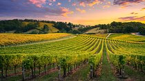 Discover Kakheti: Winery Khareba, Signagi, Gremi, Bodbe Monastery