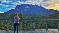 Kinabalu Park & Poring Hot Springs Tour with Desa Dairy Farm